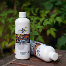 Load image into Gallery viewer, B Complex with Iron